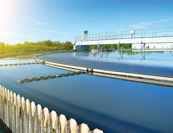 dholera